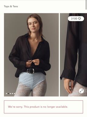 NWT By Anthropologie Sheer Long-Sleeve Buttondown